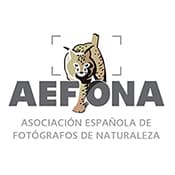 Logo_AEFONA